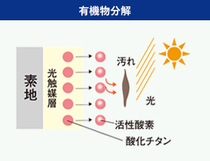 有機物分解